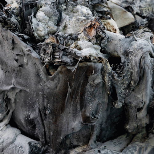 Annihilus : Follow a Song from the Sky